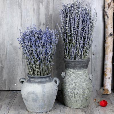 China 100g Flower Lavender Plant Floral Bouquets Natural Dry Party Wedding Flores Home Decoration About 60cm for sale