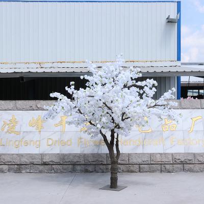 China Natural touch the original mall wedding wishing tree can be placed for large-scale home decoration crafts for sale