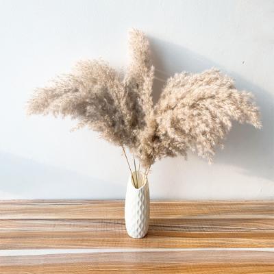 China Natural Dry Flower 10/20pcs Pampas Grass Fluffy Dry Natural Plastic Reed Vase Christmas Home Wedding Decor Flowers Bouquets Contains Colored for sale