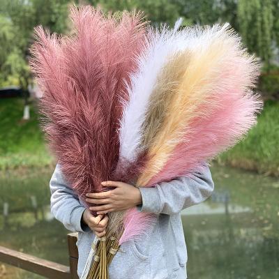 China Natural Dry Flower 120cm Fake Grass Plant Floral Bouquet Decoration Reed Flower Bouquet Artificial Pampas For Home Wedding Decor for sale