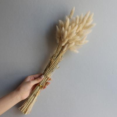 China Natural Touch Home Decoration Hot Selling Immortal Flowers Can Be Customized Tubular Dry Flowers for sale