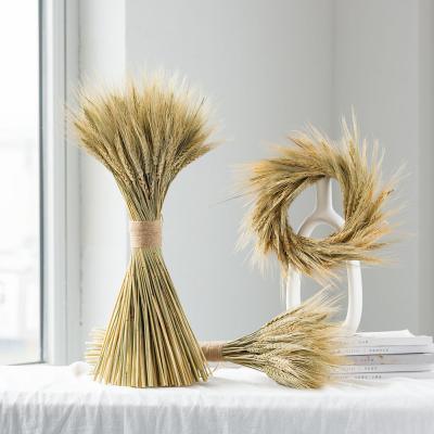 China 100PCS Natural Dried Wheat Wheat Flowers Artificial Bouquet Plants Branch INS Pampas Grass Fake Flower Wedding Garden Decoration for sale