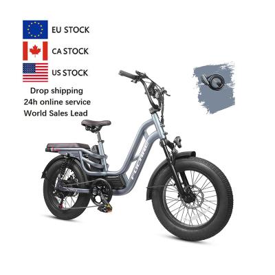 China FUCARE 20Ah 750W Fat Tire 20inch Mountain Bike Aluminum Alloy Ebike Aluminum Electric Bicycle 48volt For Man for sale