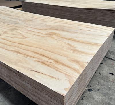 China Modern structural formply F22 plywood for Australia/New Zealand for sale