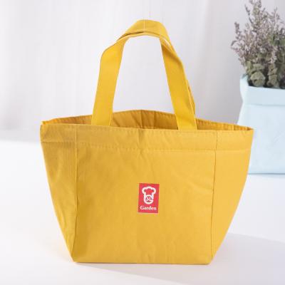 China Waterproof Hot Product Funny Nonwoven Lunch Bags For Adults Thermal Cooler Drawstring Bag for sale