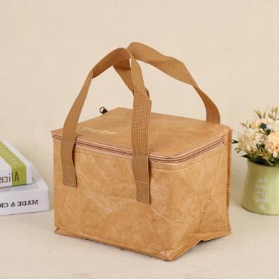 China Custom Size Dupont Lunch Bag Fruit Cooler Environmentally Friendly Waterproof Paper Insulated Bag Waterproof for sale