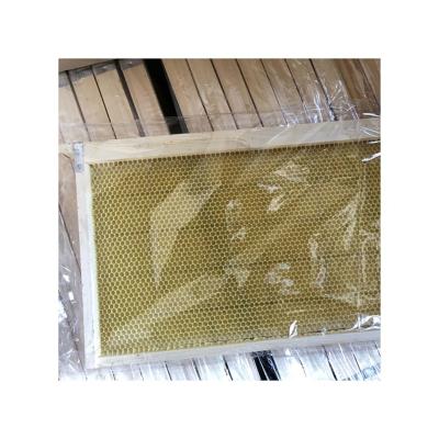 China Trusses assembled bee wood frame with beeswax base stainless steel wire for sale