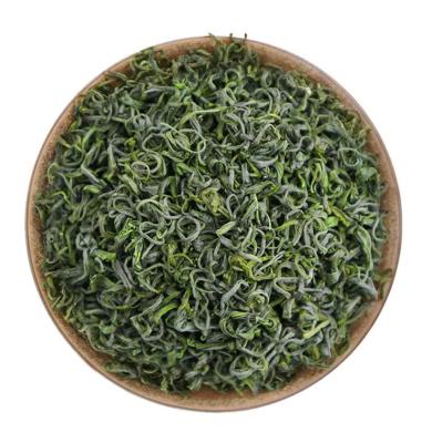 China New Taste Large Cultivation Spring Green Tea Chinese High Mountain Yunwu Green Tea In Loose Wholesale Price for sale