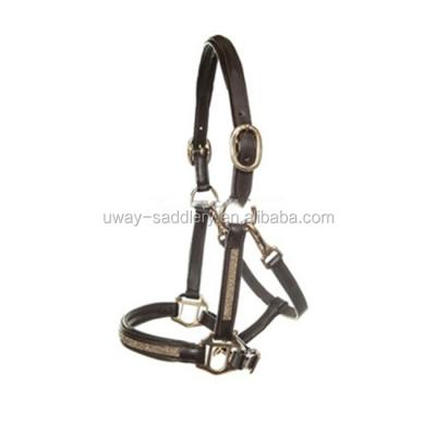 China Other luxury soft leather horse headcollar for sale