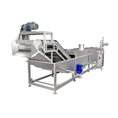 China food & Manufacturer Beverage Plant Automatic Fruit&Vegetable Cleaning Processing Machine For Aloe Pineapple Pears For Sale for sale