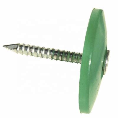 China Cap Galvanized Plastic Head Nails for sale