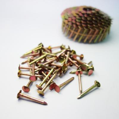 China Best Selling Coil Master Manufacture Big Best Price Flat Roofing Nails for sale