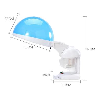 China Stand Hair Steamer 2 in 1 Ozone Steamer Mini Table Top Hooded Hair Care Oil Treatment Facial Steamer for sale