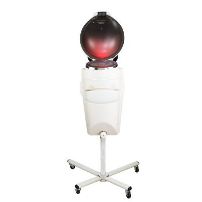 China Professional Micro Hair Steamer Mist Stand Barber Shop Hair Care Cold Hot Ozone Mist for sale