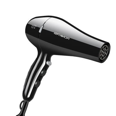 China Barber Salon Styling Tools Hot /Cold Power Hair Dryer Professional Ionic Strong Air Blow Dryer 2 Speed ​​Adjustment 110-240V for sale