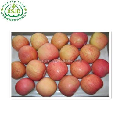 China China Fresh Hot Selling Organic Fruits Bulk Wholesale Fresh Apples for sale