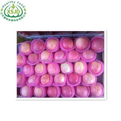 China Starking's Finest Fresh Premium Quality Red Delicious Apples 	Fresh Red Apple Pome Fruit 100% Natural for sale