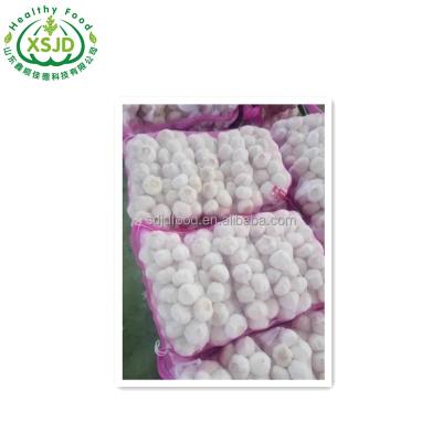 China Wholesale China Fresh Fresh Garlic Normal Garlic / Pure Redundant Garlic for sale