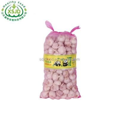 China 2021 fresh supplier wholesale high quality fresh chinese white garlic for sale