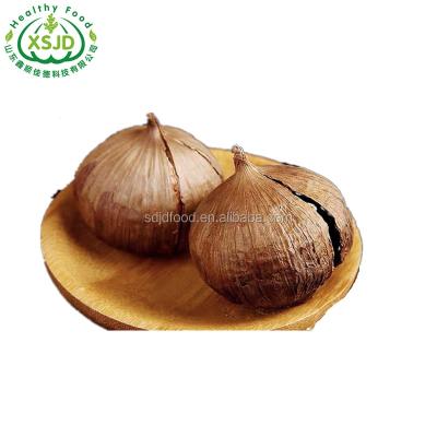 China Fresh Fermented Delicious Organic Simple Solo Black Garlic  Fresh Black Garlic Liliaceous Vegetabless for sale