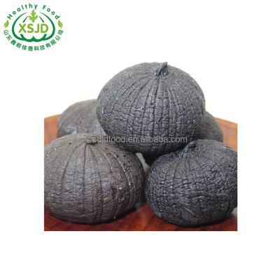 China Wholesale buyers fresh garlic and normal white black garlic fresh garlic 60cm for sale