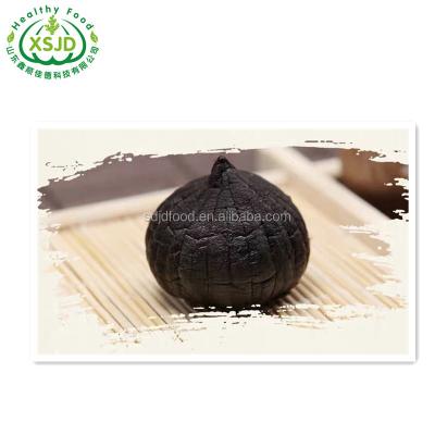 China Chinese black garlic high quality fresh black garlic for wholesale for sale