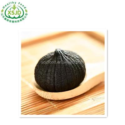 China Health fresh natural food black garlic  Fresh Black Garlic Liliaceous Vegetabless for sale