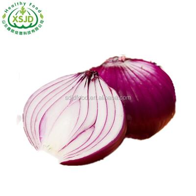 China Good Fresh Chinese Cheap Fresh Onion For Sale Liliaceous Vegetabless Fresh Red Onion for sale