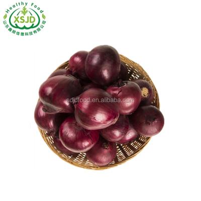 China High quality cheap price export fresh new Chinese red onion culture for wholesale for sale