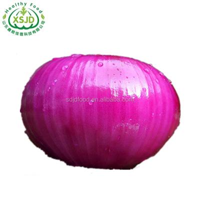 China Lowest price fresh red onion yellow onion and fresh red onion price Liliaceous Vegetabless Fresh Red Onion for sale