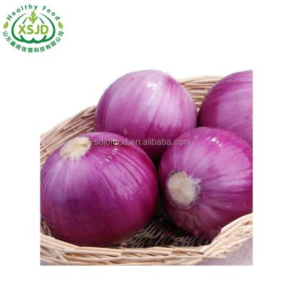 China Factory direct sale small fresh onion shallot peeled onions Liliaceous Vegetabless Fresh Red Onion for sale