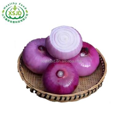 China Fresh Fresh Red Onion Turkey 50mm Size Fresh Red Onions Liliaceous Vegetabless Fresh Red Onion for sale