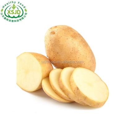 China Large size of fresh fresh new crop potato Fresh Sweet Potatoes Bright Yellow Flesh for sale