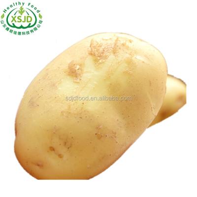 China Best Quality Selling Price Cheap Potato Fresh Potatoes Fresh Mesh Bag Hot Fresh Potato For Wholesale for sale