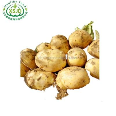 China China's finest quality fresh large size fresh potatoes/wholesale price, bulk quantities/import bulk potatoes for sale