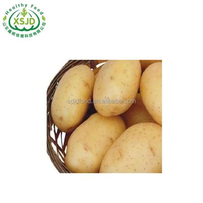 China Holland Potatoes Seeds Price fresh fresh for wholesale Fresh Sweet Potatoes Bright Yellow Flesh for sale