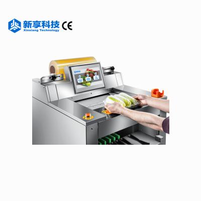 China Food Support PVC/PE/PO Cling Film Video Teaching Remote Service Cling Wrapping Film Machine for sale