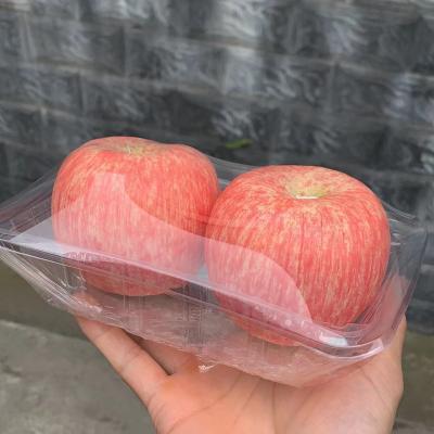 China Food Wrapping Apples With Tray Small Cling Film Wrapping Tray Wrapper Semi Automatic Stretch Film Vegetable Wrapping Machine for sale