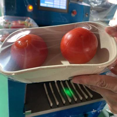 China Food Tomatoes In A Tray Small Cling Film Packaging Machine Semi Automatic Vegetable Tray Wrapper Stretch Film Wrapping Machine for sale