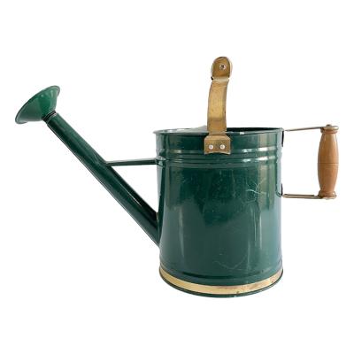 China DIY Modern New Design Garden Irrigation Tools 6L Metal Indoor Watering Can for sale