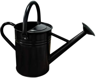 China DIY Hot Sale Metal Watering Can, 1 Gallon Watering Can for Outdoor Indoor House Garden Plants for sale