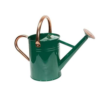 China Hot Selling DIY Galvanized Metal Watering Can 1 Gallon Watering Pot For House Outdoor Indoor Garden Plants for sale