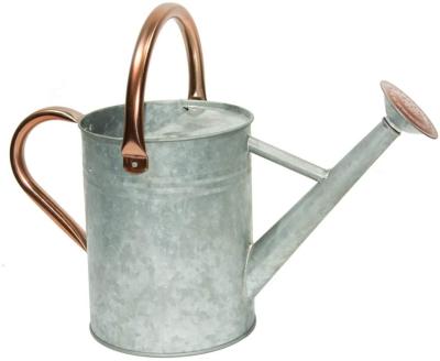 China Hot Selling DIY Galvanized Metal Watering Can With Long Spout, 1 Gallon For Garden Plants for sale