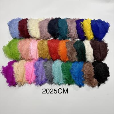 China Decorations 20cm 25cm Wholesale High Quality Multi-Color Smooth Fluffy Cheap Large Ostrich Feathers Trim for sale