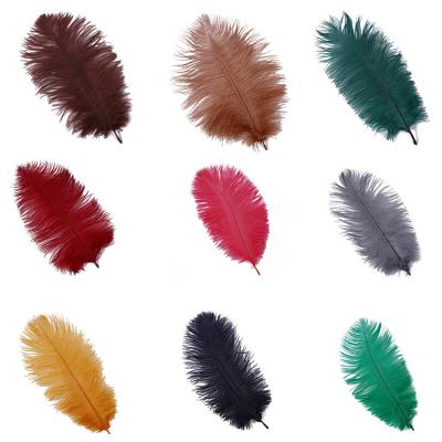 China Decorations Wholesale 25-30cm Large Ostrich Feather Home Wedding Wall Decorative White Pink Purple Blue Ostrich Feathers For Jacket Shawl for sale