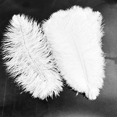 China Decorations 30-35CM Wholesale High Quality Multi-Color Smooth Fluffy Cheap Large Ostrich Feathers White Ostrich Feather Fabric for sale