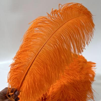 China Decorations Manufacturers Make 50-55cm Super Long Thick Rod Ostrich Feather Wedding Decoration Stage Costume Prop Feather for sale