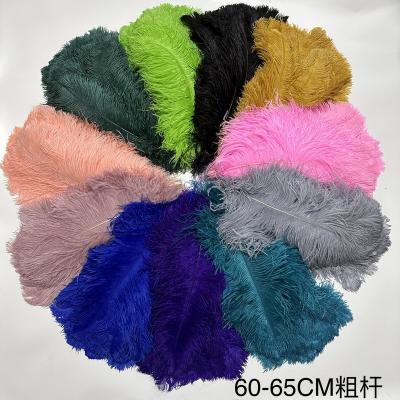 China Decorations Hot Sale 60-65 cm Colorful Thick Rod Ostrich Wing Feather For Party Wedding Stage Dresses Stage Decoration for sale