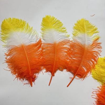 China Decorations High Quality Popular Factory Direct Sales 65-70cm Hot Selling Colored Large Decorative Thick Rod Ostrich Feathers for sale