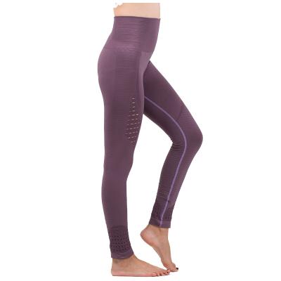 China Antibacterial High Waist Leggings Sports Fitness Activewear Seamless Girls Leggings Leggings Mesh Yoga Pants for sale